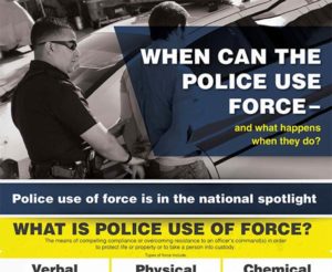 Use of Force Infographic by Police Foundation